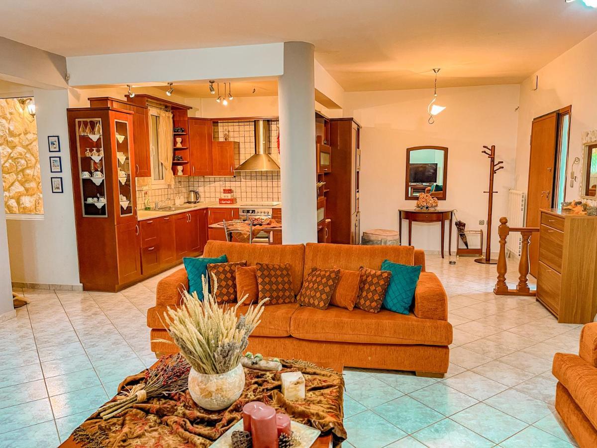 Dream Villa Palaiontsiflikion Bagian luar foto